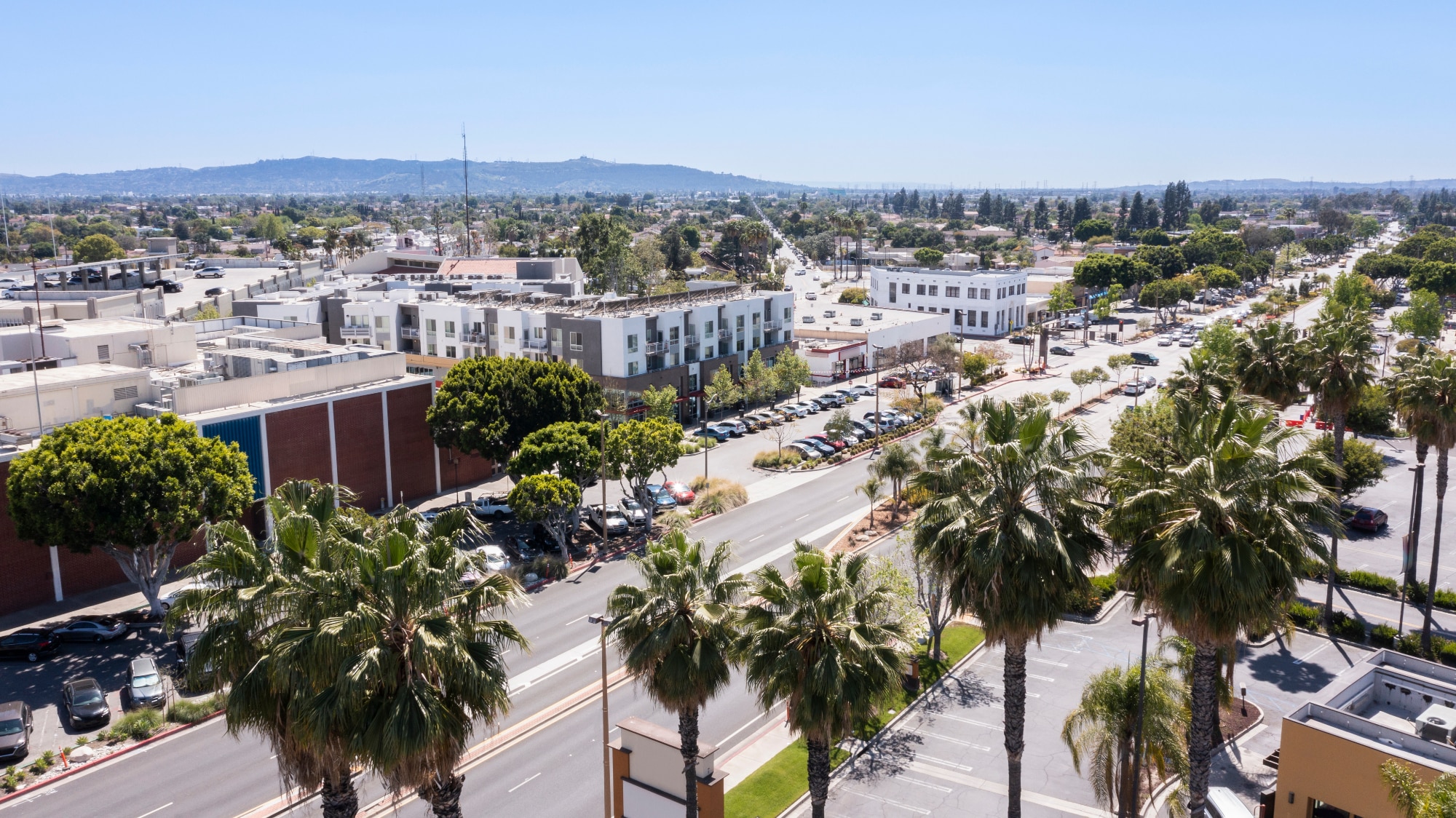 Pest Control in Baldwin Park