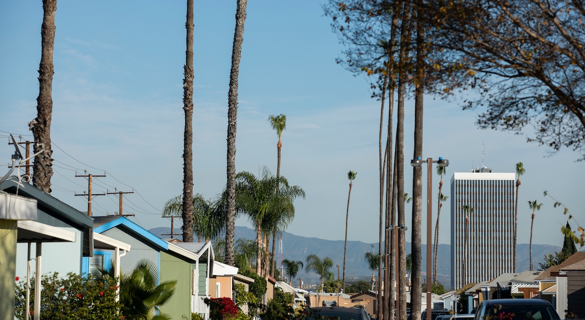 Cost-Effective Pest Control in Cypress, CA