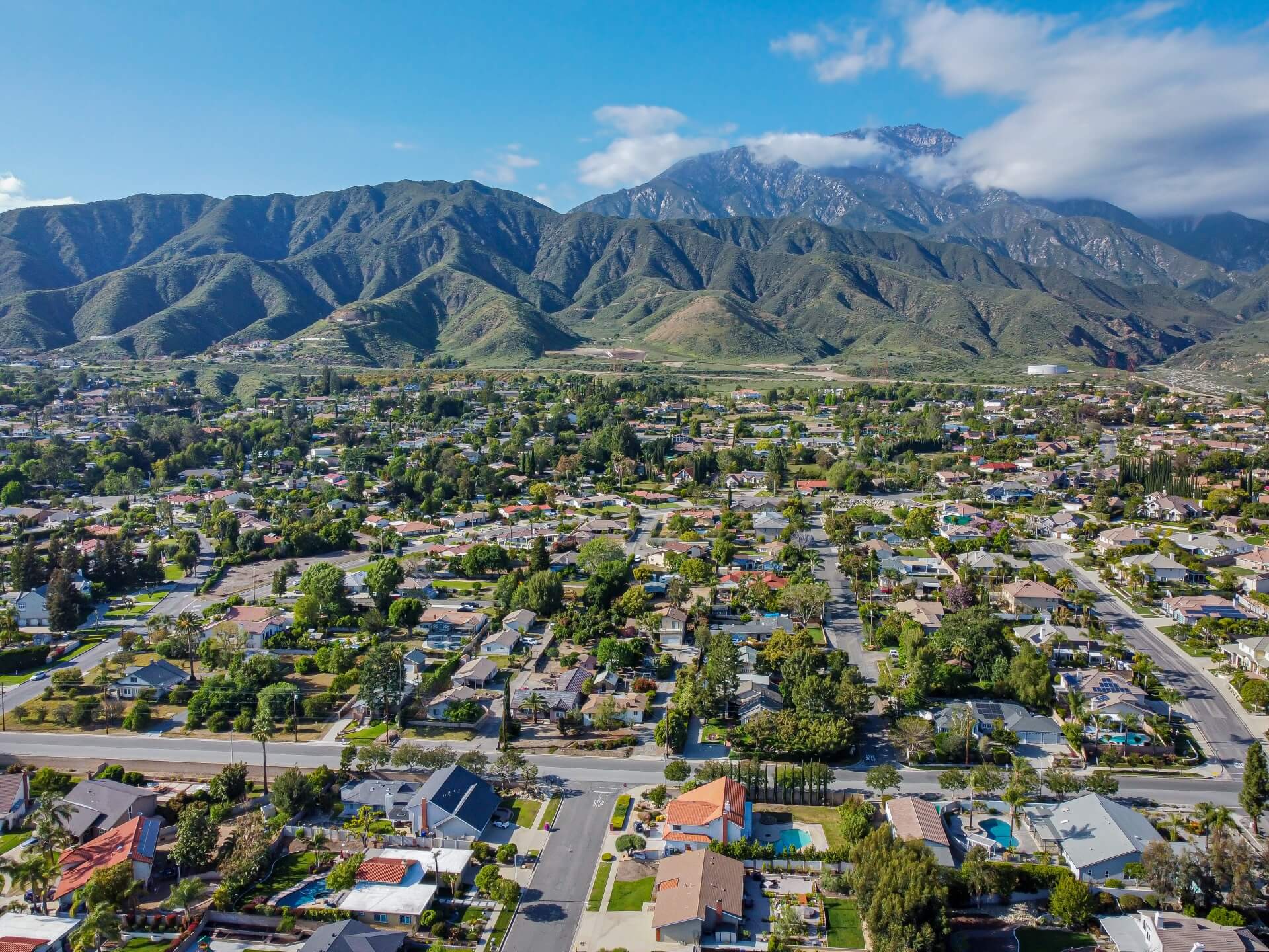 Professional Pest Control in Upland, CA