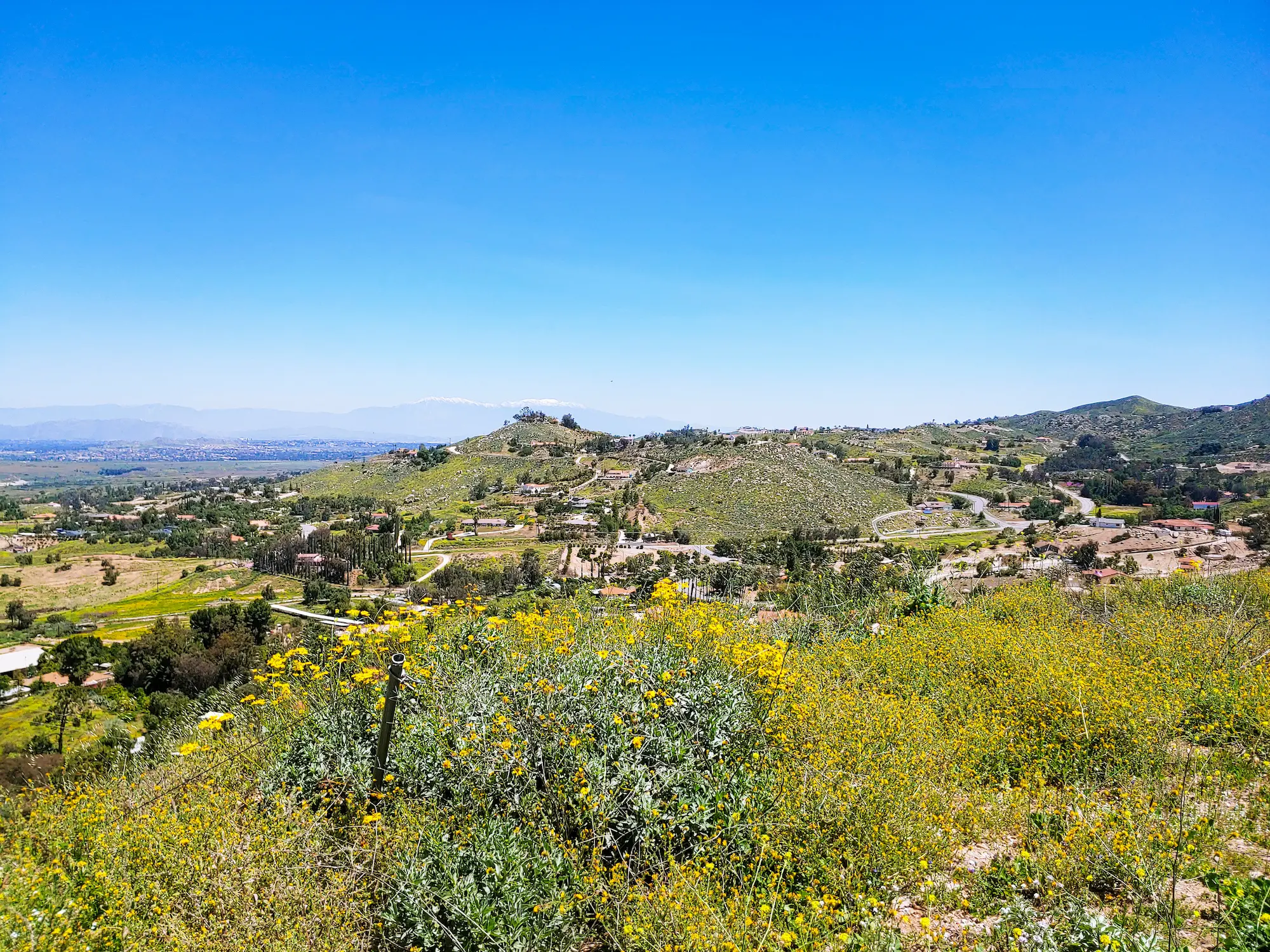 Homes and businesses serviced by Preventive Pest Control in Lake Mathews, CA